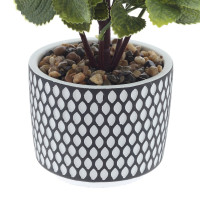 Цветочная композиция, L18 W18 H68 см