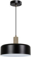 Подвесной светильник Skat A7052SP-1BK Arte Lamp