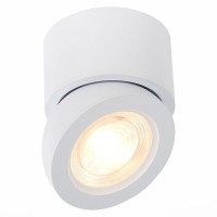 Светодиодный спот ST Luce ST654.532.10 Светодиодный спот ST Luce ST654.532.10