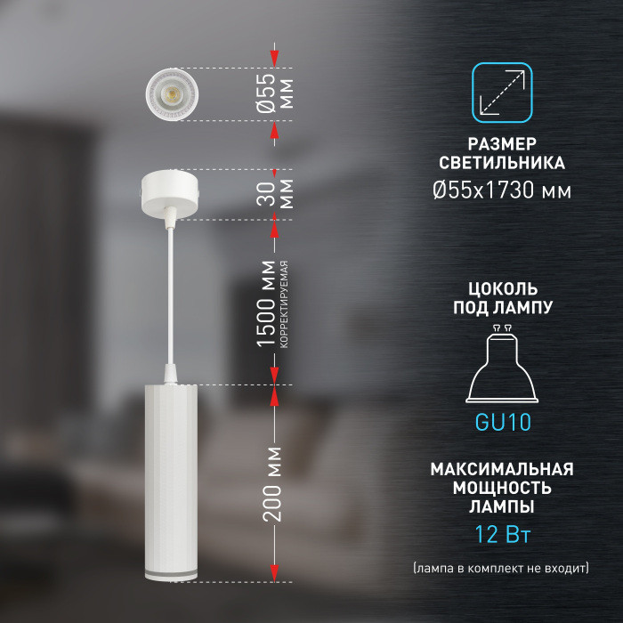 Подвесной светильник  PL19 WH ЭРА