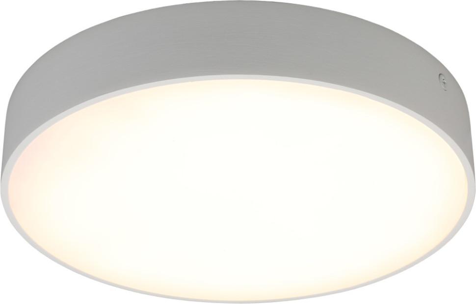 Потолочный светильник Evon APL.0113.09.24 Aployt