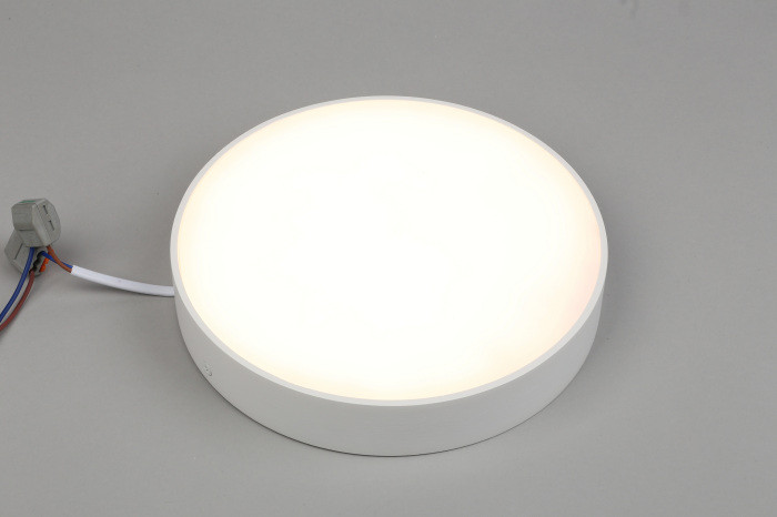 Потолочный светильник Evon APL.0113.09.24 Aployt