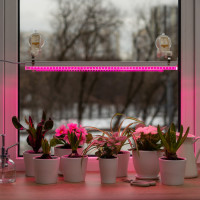 Светильник для растений 56296 2 Ritter Светильник для растений 56296 2 Ritter