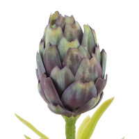 Цветок искусственный "Артишок", L9 W9 H55 см, 2в.