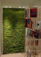 Точечный светильник CANOPUS SN 102 Stellanova