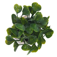 Цветочная композиция, L12 W12 H18 см, 4в.