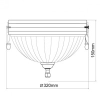 Потолочный светильник MW-Light Афродита 317011202