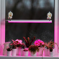 Светильник для растений  56300 6 Ritter