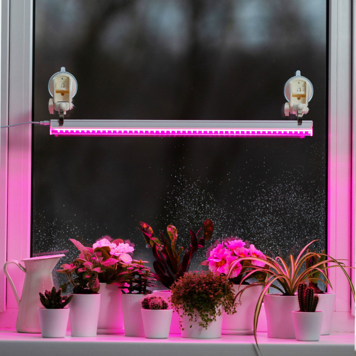 Светильник для растений  56300 6 Ritter