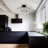 Потолочная люстра F-Promo Skein 2480-9U Потолочная люстра F-Promo Skein 2480-9U