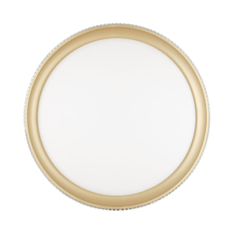 Настенно-потолочный светодиодный светильник Sonex Pale Shiny 3054/DL