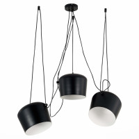 Подвесной светильник Trieste SLE120643-03 Evoluce Подвесной светильник Trieste SLE120643-03 Evoluce