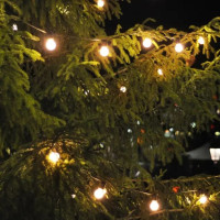 Гирлянда Solar GS032 Gauss