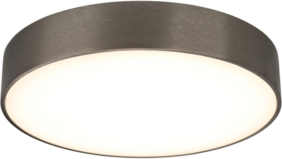 Потолочный светильник Evon APL.0114.19.24 Aployt