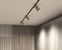 Трековый светильник SMART SPOT DK8020-BG Denkirs Трековый светильник SMART SPOT DK8020-BG Denkirs