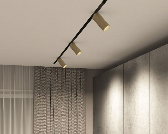 Трековый светильник SMART SPOT DK8020-BG Denkirs