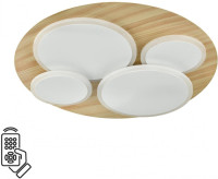 Потолочный светильник Pine 7734/60L Sonex