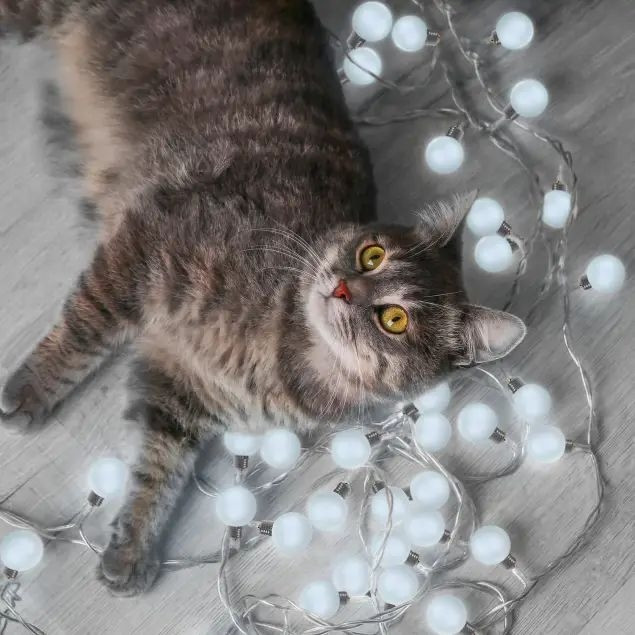 Гирлянда Solar GS033 Gauss