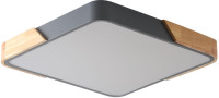 Потолочный светильник Alberro ZRS.01288.60 Zortes