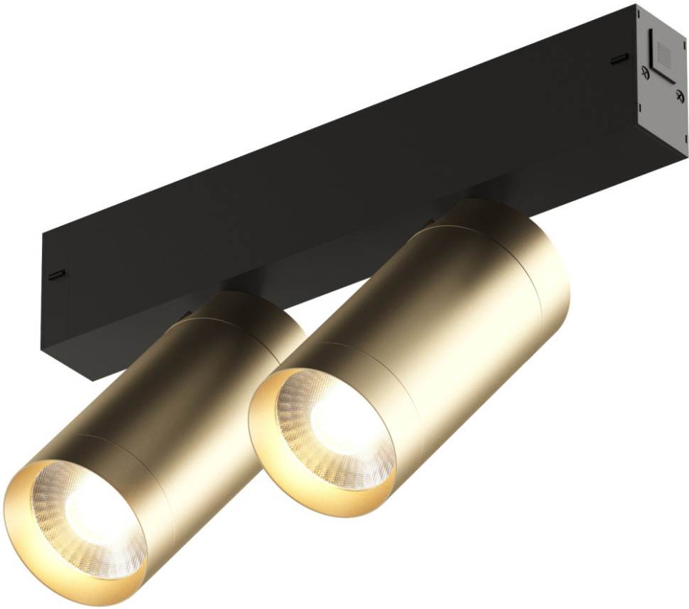 Трековый светильник SMART SPOT DK8012-BG Denkirs