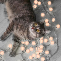 Гирлянда Solar GS034 Gauss