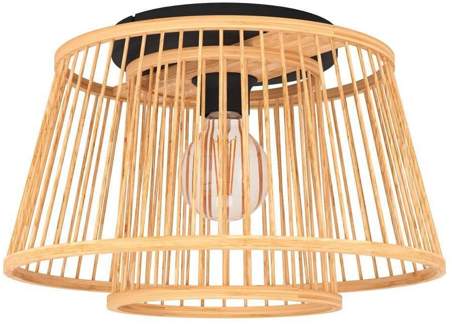 Потолочный светильник Hykeham 43851 Eglo