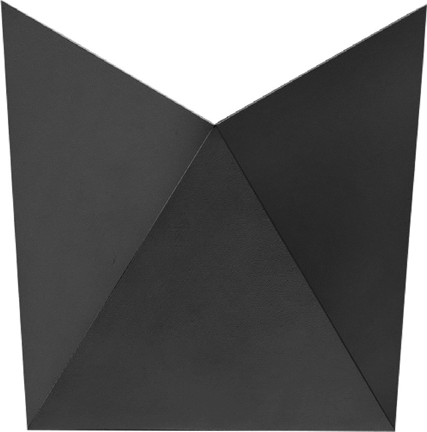 Настенный светильник Busta A1609AP-1BK Arte Lamp