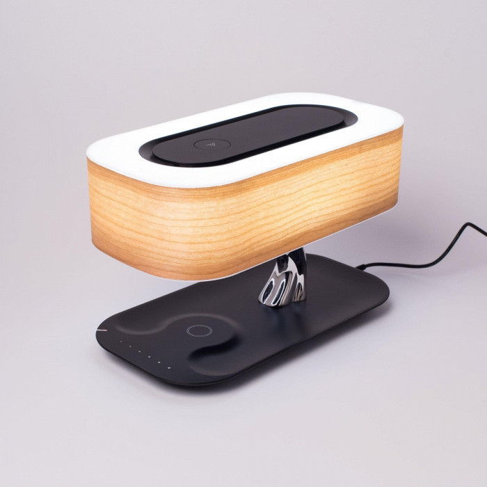 Офисная настольная лампа Ньютон CL803042 Citilux