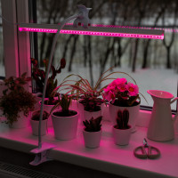 Светильник для растений  56304 4 Ritter