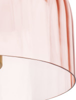 Потолочный светильник Celesta 809062 Lightstar