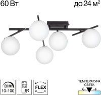 Потолочная люстра Dorsy CL223152 Citilux
