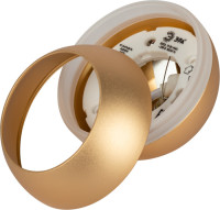 Подвесной светильник  PL21 GD ЭРА