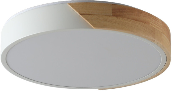 Потолочный светильник Alberro ZRS.01289.48 Zortes