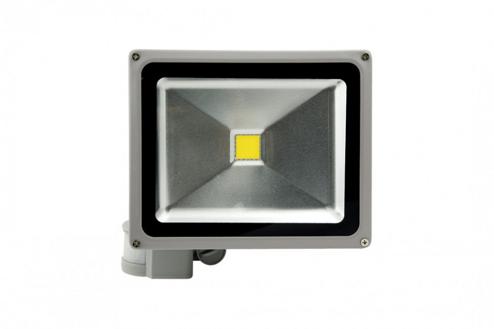 Прожектор уличный FL-COB-30-WW-S SWG