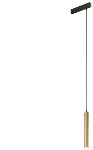 Трековый светильник SMART SPOT DK8008-BG Denkirs