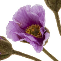 Цветы искусственные "Букет маков", L14 W12 H52 см