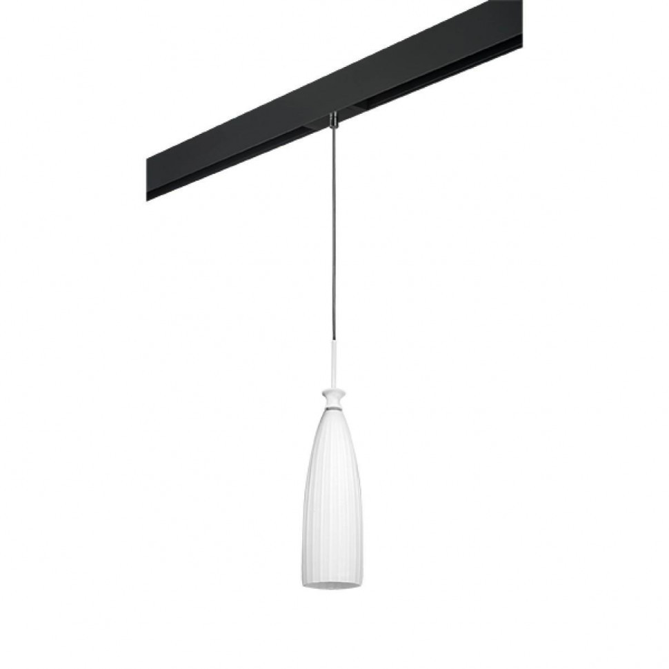 Трековый светильник Lightstar Agola (810010+595007) PRO810010