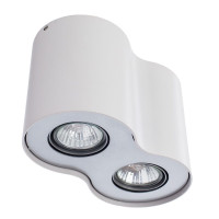 Потолочный светильник Falcon A5633PL-2WH Arte Lamp
