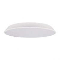 Потолочный светодиодный светильник Loft IT Brim 10226 White