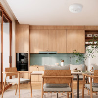 Потолочный светильник Celesta 809316 Lightstar