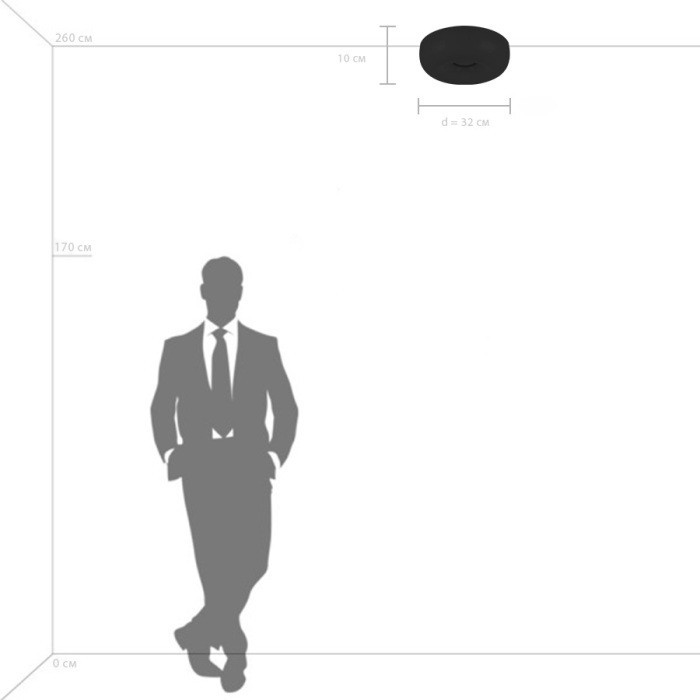 Потолочный светильник Celesta 809316 Lightstar