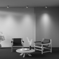 Точечный светильник Spark C094-GU10-MG Maytoni