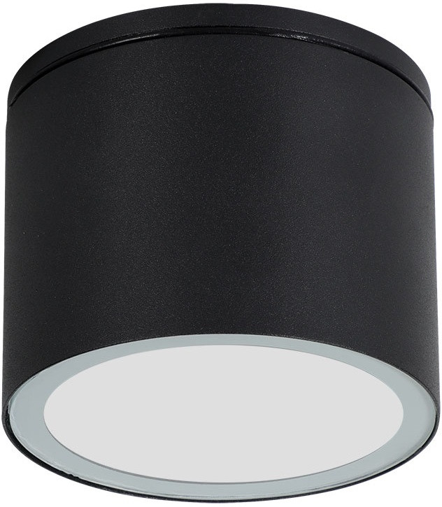 Потолочный светильник уличный Piautos A1913PF-1BK Arte Lamp