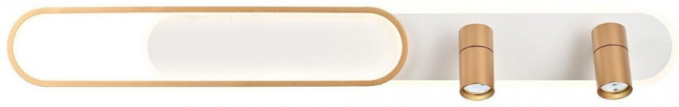 Настенно-потолочный светильник Planar 4075-2C Favourite