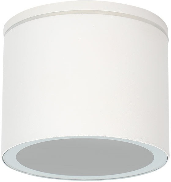 Потолочный светильник уличный Piautos A1913PF-1WH Arte Lamp