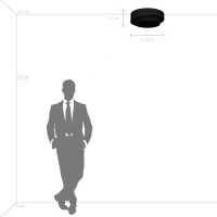 Потолочный светильник Celesta 809416 Lightstar Потолочный светильник Celesta 809416 Lightstar