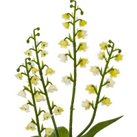 Цветочная композиция "Ландыши", L11 W11 H29 см