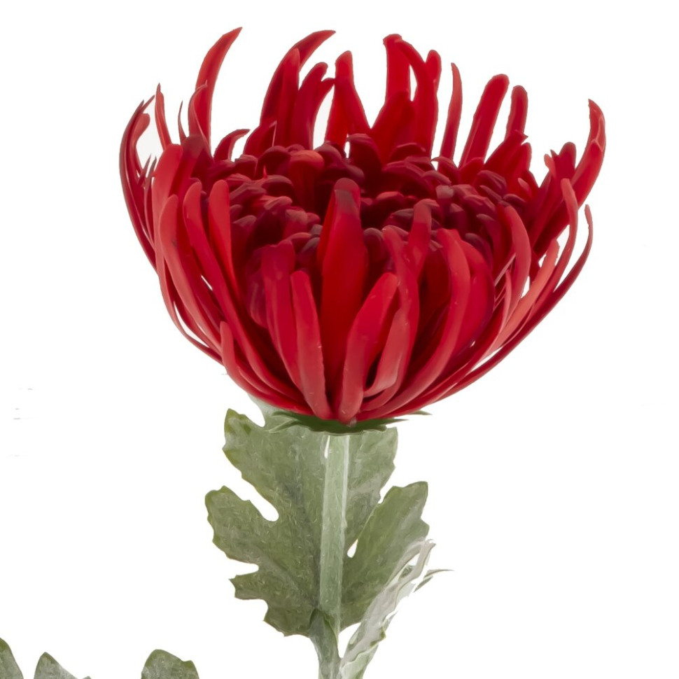 Цветок искусственный "Хризантема" (Real Touch), L20 W20 H78 см