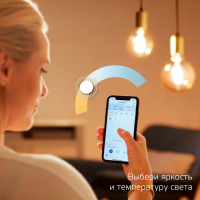 Лампочка светодиодная филаментная Smart Home 1370112 Gauss