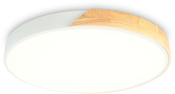 Потолочный светильник ORBITAL FZ1300 Ambrella